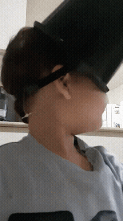 Small Dog Sticking Head Out Car Window GIF