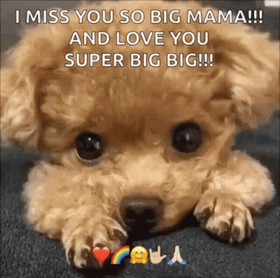 Small Dog With Rainbow I Miss You So Big Mama GIF