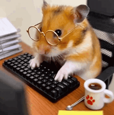 Small Hamster With Glasses Typing GIF