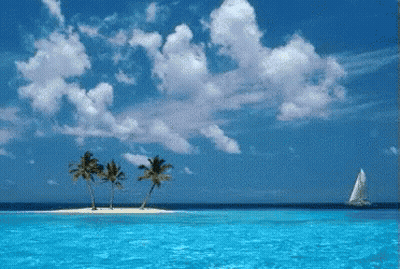 Small Island With Palm Trees And Sailboat GIF