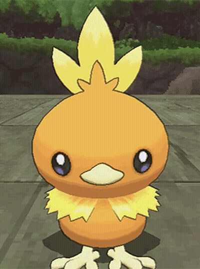 Small Orange Bird With Yellow Feather On Sidewalk GIF