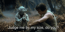Small Person Yoda Judge Me GIF
