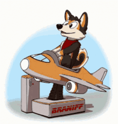 Small Plane Toy Furry