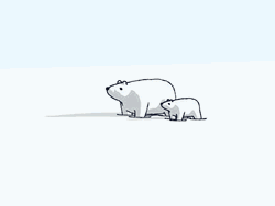 Small Polar Bear Catching Up  GIF