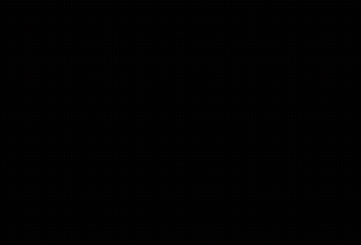 Small Puppy And Small Bird Looking At Each Other GIF