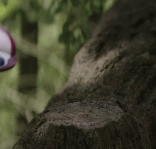 Small Robot Sitting On Tree Branch GIF