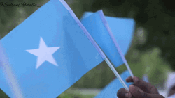 Small Somalia Flag