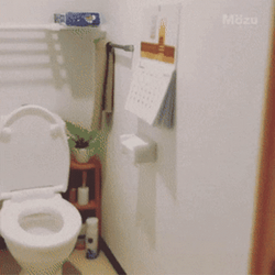 Small Space Bathroom GIF