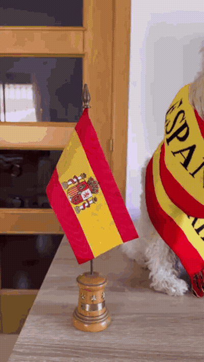 Small Spanish Flag Next To Dog GIF