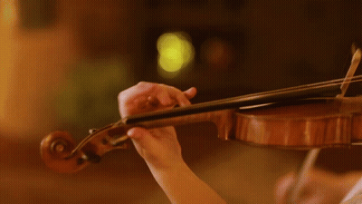 Small Violin She's Always Crying GIF