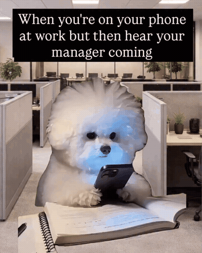 Small White Dog Holding Cell Phone In Office GIF
