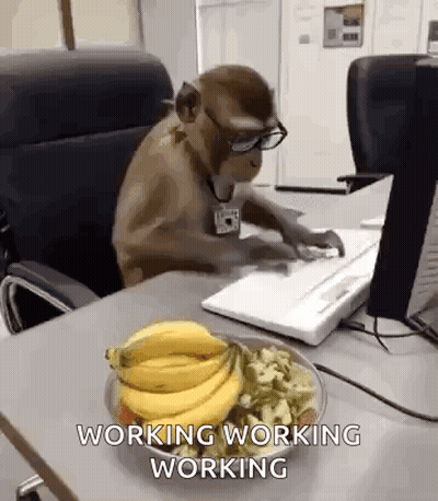 Small White Dog Holding Cell Phone In Office GIF