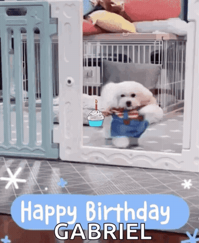 Small White Dog In Cage Saying Happy Birthday Gabriel GIF