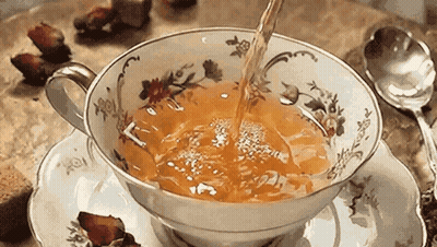 Small White Dog In Red Sweater Saying If You Need Me I'll Be There At The Top GIF