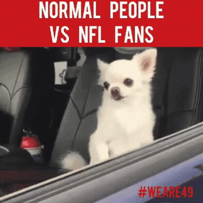Small White Dog Looking Out Car Window GIF