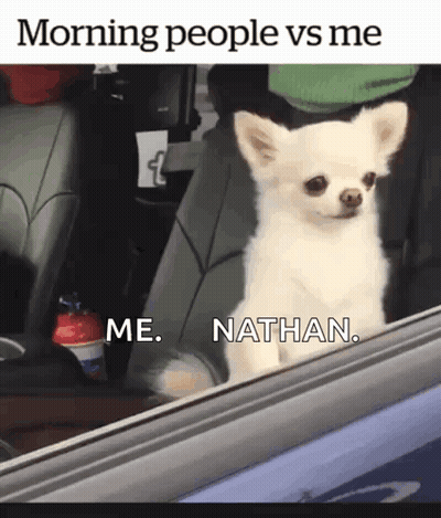 Small White Dog Looking Out Car Window Saying Morning People Vs Me Me Nathan GIF