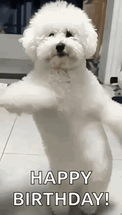 Small White Dog On Hind Legs Happy Birthday GIF