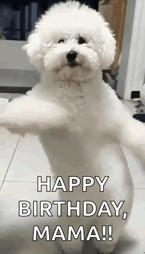 Small White Dog Saying Happy Birthday Mama GIF