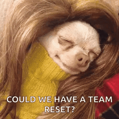 Small White Dog Sleeping In Woman Hair Could We Have A Team Reset GIF