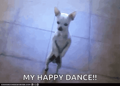 Small White Dog Standing Saying My Happy Dance GIF