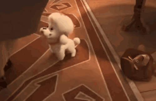 Small White Dogs Walking On Rug GIF