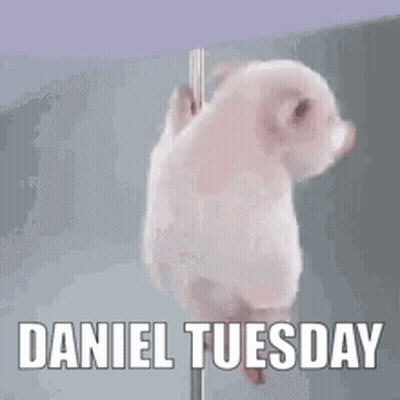 Small White Pig On Pole Saying Daniel Tuesday GIF