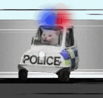 Small White Police Car With Cat GIF
