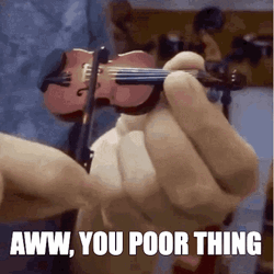 Smallest Violin Poor Thing Meme GIF