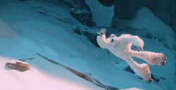 Smallfoot Migo Flipping On Snow GIF