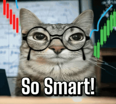 Smart Cat Wearing Glasses GIF