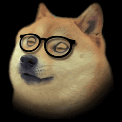 Smart Looking Doge  GIF