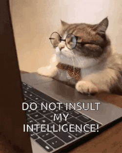 Smart Meme Nerd Cat Facing Laptop GIF