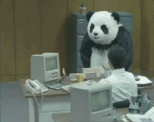 Smashing Computer Incensed Panda GIF