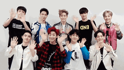 Smile And Wave Boys EXO GIF