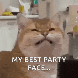 Smile Cat GIF