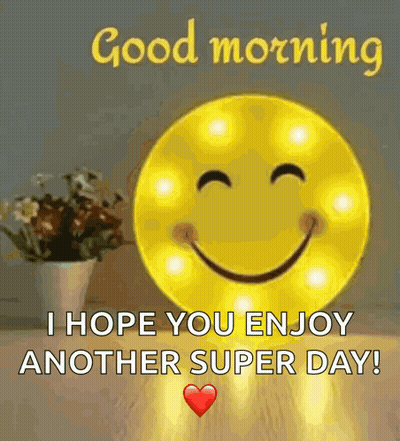 Smiley Face Sitting Next To Potted Plant GIF