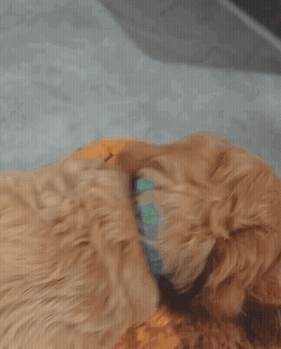 Smiley Face Waving Saying Hi Juke GIF