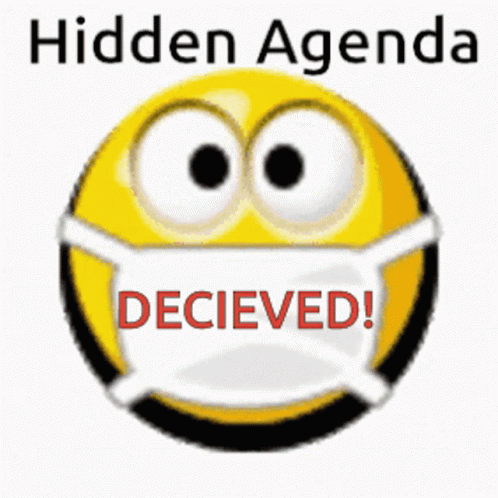 Smiley Face Wearing Mask Hidden Agenda Decieved GIF