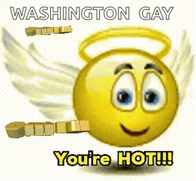 Smiley Face With Angel Wings Saying Washington Gay You're Hot GIF