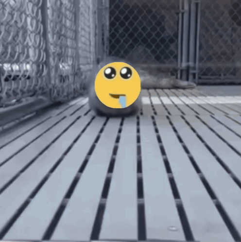 Smiley Face With Tongue Out GIF