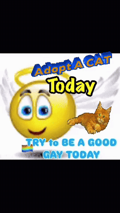 Smiley Face With Wings Adopt A Cat Today GIF