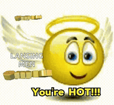 Smiley Face With Wings And Halo Says Lansing Men Omtg You're Hot GIF
