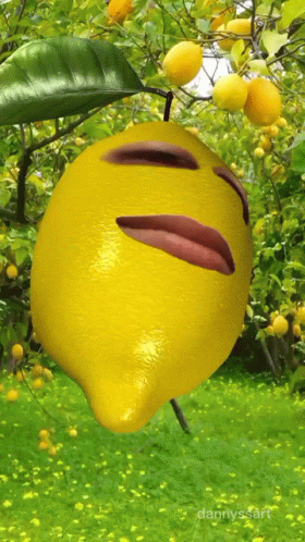 Smiley Lemon Face GIF