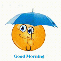 Smiley Rainy Good Morning GIF