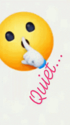 Smiley Shhh Quiet GIF