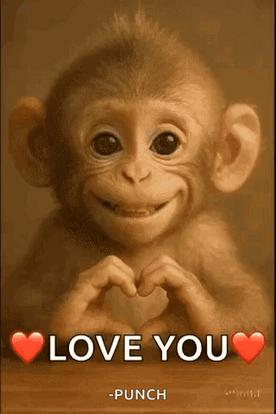 Smiling Baby Monkey Making Heart With Hands GIF