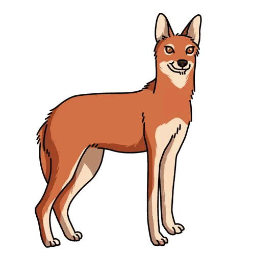 Smiling Cartoon Coyote Sticker
