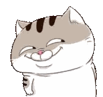 Smiling Cat With Thumbs Up Sticker