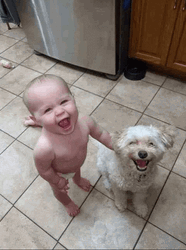 Smiling Dog Baby GIF