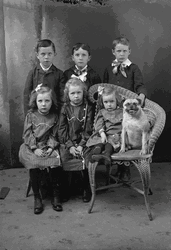 Smiling Dog Family Portrait GIF
